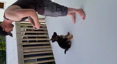 Puppy training. She’s so smart
