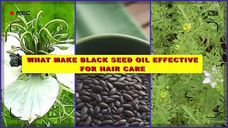 What Makes Black Seed Oil Effective for Hair Care