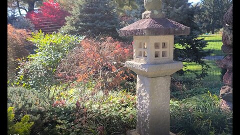 Amazing Japanese Garden: Fall Foliage Begins! (Part I)