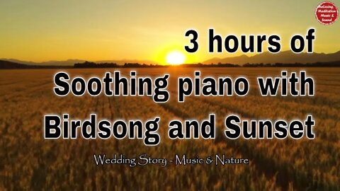 Soothing music with piano and birds singing for 3 hours, music that relief stress and mind
