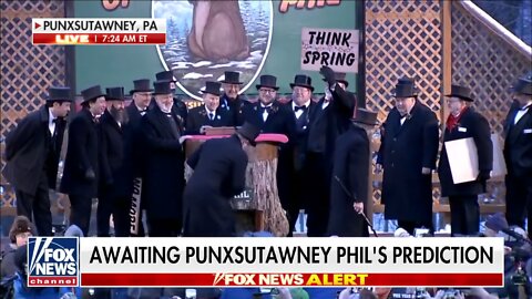 But But... Global Warming! Groundhog Day: Punxsutawney Phil Predicts Six More Weeks Of Winter