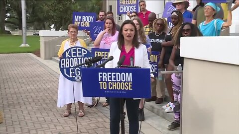 Nikki Fried leads Charlie Crist