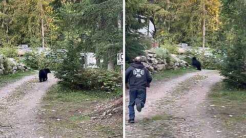 Brave Man Scares Bear Out Of His Backyard
