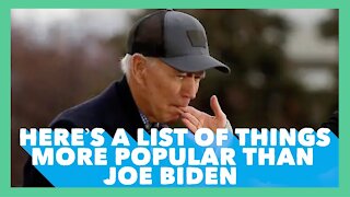 Things More Popular Than Joe Biden