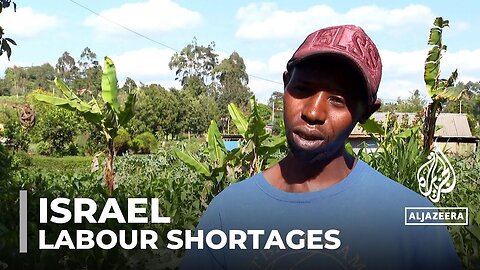 Kenya to send 1,500 agriculture workers to Israel amid farm labour shortage