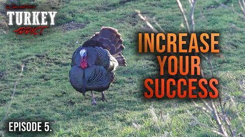 How to Increase Your Success | Turkey Addict Part 5