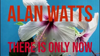 Alan Watts - There Is Only Now | Philosophy and Meditation