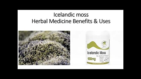 Icelandic Moss - Herbal Medicine Benefits