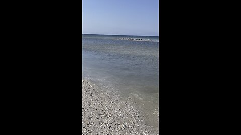 Clam Pass Naples, FL 12/11/2022 #4K #DolbyVisionHDR