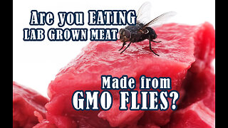 ARE YOU EATING LAB GROWN MEAT FROM GMO FLIES