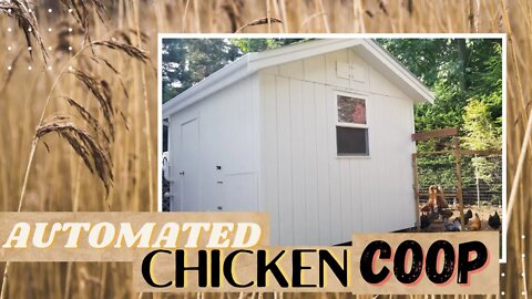 Chicken Coop Ideas | Easy to clean chicken coop | Backyard Chicken Coop Ideas