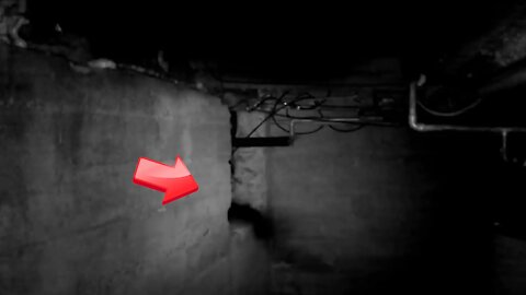 There is a black shadowy thing in the basement [ghost]