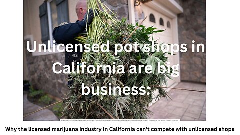 Unlicensed pot shops in California are big business