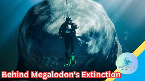 Scientists Unravel the Mystery Behind Megalodon's Extinction