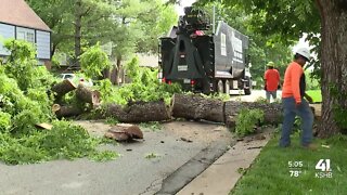 Kansas City residents come together to cleanup damage after overnight storms