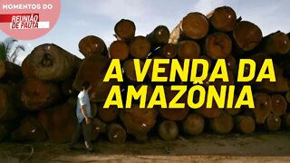 Bolsonarista botam o Brasil à venda | Momentos