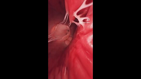 Anatomy #anatomy #3Danimation #3Dmedico #video #viral #short #x