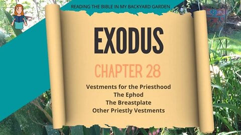 Exodus Chapter 28 | NRSV Bible | Read Aloud