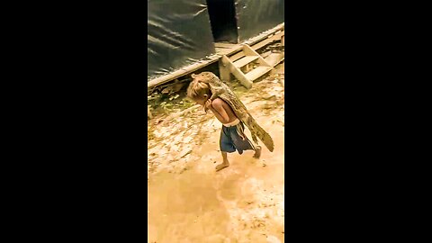 Funny Video Boy Carrying Baby Crocodile On His Back Amuses The Internet || NewzVox