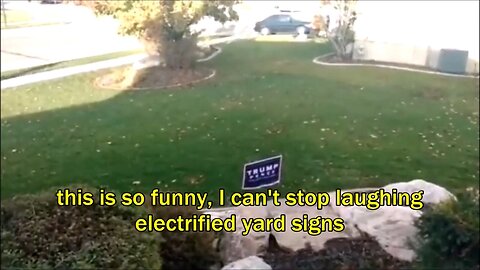 this is so funny, I can't stop laughing - electrified yard signs