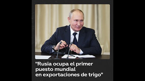 Putin: Estamos orgullosos de que Rusia se ha convertido en el mayor exportador de trigo