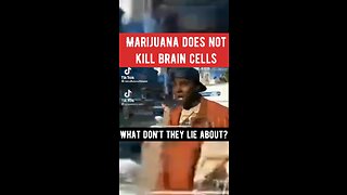 Marijuana does not kill brain cells