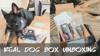 Real Dog Box Unboxing March/April - Quarantine Game For Your Dog "Find It"