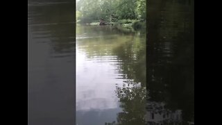 HUGE smallmouth while fishing an Ohio Creek