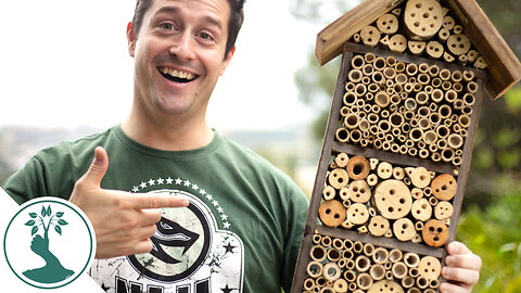 How To Make A Bug Hotel - Building A Solitary Bee Home