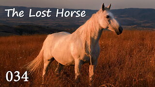 034 - Story Time. The Lost Horse.