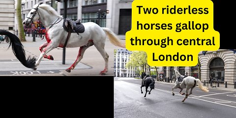 Horseplay in London: The Riderless Gallop