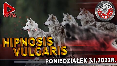 HIPNOSIS VULGARIS - Olszański, Osadowski NPTV (03.01.2022)