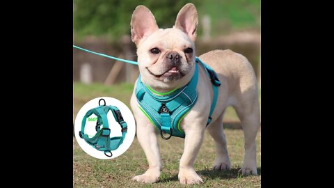 No Pull Dog Harness and Leash Set Adjustable Pet Harness Vest For Small Dogs Cats Reflective
