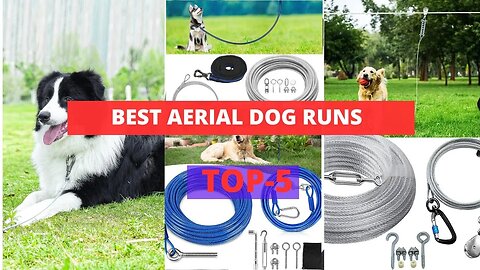 Best Aerial Dog Runs | Aerial Dog Run Toys that Can Improve Your Dog's Agility