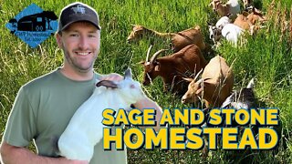 Visiting Sage and Stone Homestead {Farm Tour} // Meat Rabbits, Dairy Goats, & More!