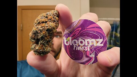Gobstoppers THCA Bud Review (Bloomz)
