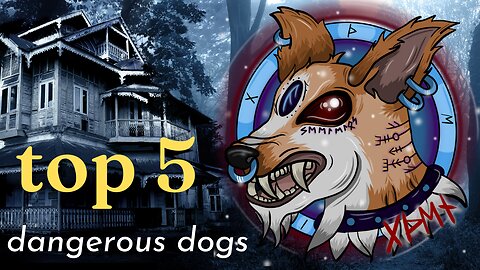 Top 5 dangerous dogs - Exploring the Truth: Top 5 Controversial Dog Breeds Unveiled