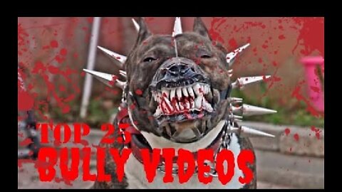 🔥 Crezy 🔥 Top 25 American best Bully video
