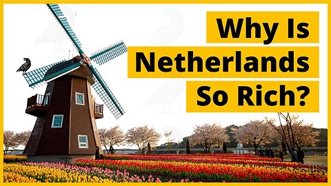 Netherlands: Digging Deep Into The Dutch Economy