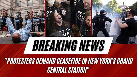 Israel-Hamas cease-fire demonstrators cram into Grand Central at rush hour.