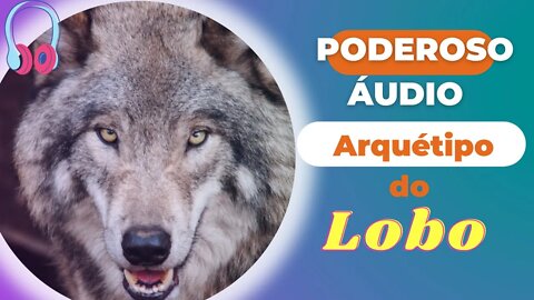 🐺Poderoso Áudio Arquétipo do LOBO.