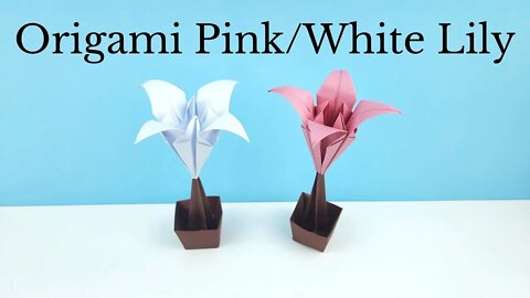 Origami Pink/White Lily Flowers and Pot Tutorial - DIY Easy Paper Crafts