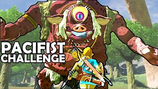 EVENTIDE ISLAND - Pacifist Challenge | Breath of the Wild | Zelda BotW | Basement | S3E55