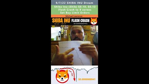 $0.10 to $0.13 Shiba Inu (Shib), Flash Crash to 9 zeroes dream - Michael Lawrence 9/7/22