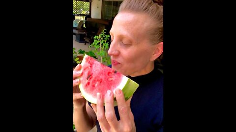 Jenny’s SUPER EXCITED about preparing WATERMELON for the freeze dryer 🧑‍🌾🍉 #shorts #viral #tiktok