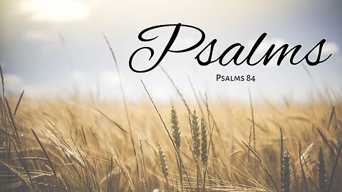A Study in Psalms: Psalms 84
