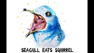 WTF😨SEAGULL👀EATS🍽️SQUIRREL🐿️