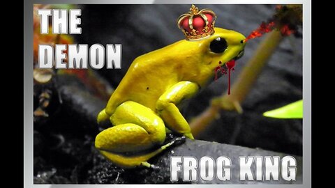 The Demon Frog King