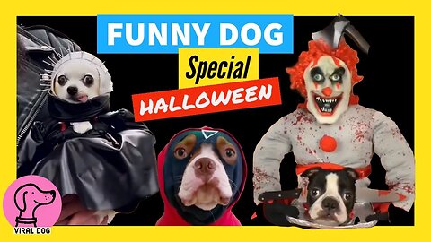 Funny Dogs Loving Halloween Compilation - Hilarious Pet Reactions & Costumes 🎃👻