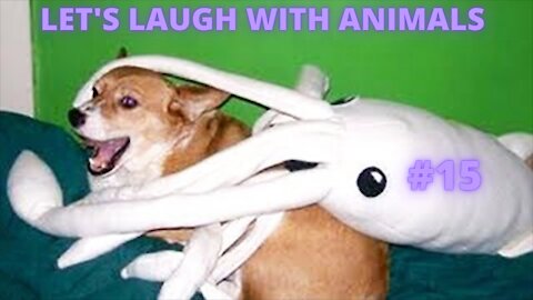 LET'S LAUGH WITH ANIMALS | #15